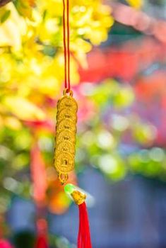 tứ sắc 8Day